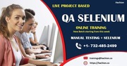 QA Online Live Training